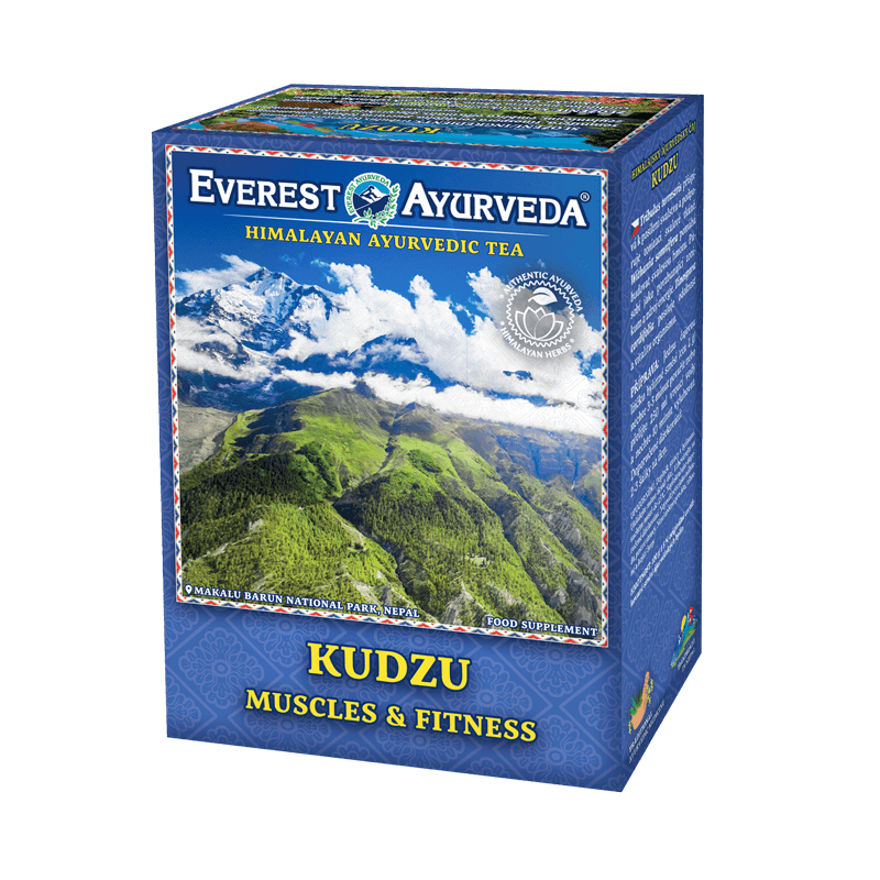 KUDZU - Wzmocnienie mięśni & fitness