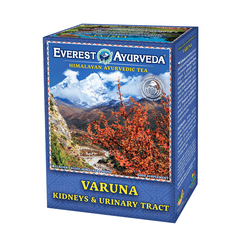 VARUNA - Nerki & drogi moczowe